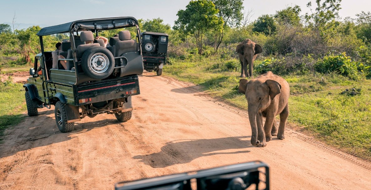 Pilanesberg National Park, North West Province, South Africa